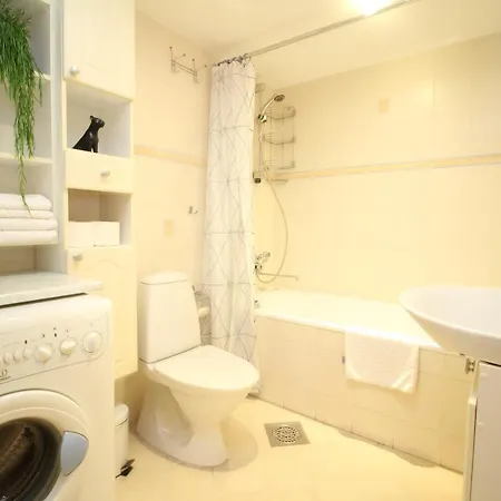 Roosikrantsi Apartment