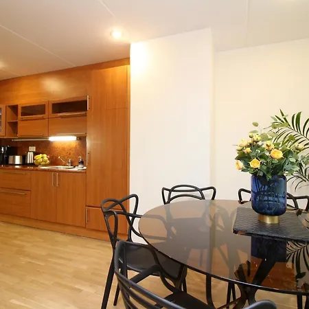 Roosikrantsi Apartment *