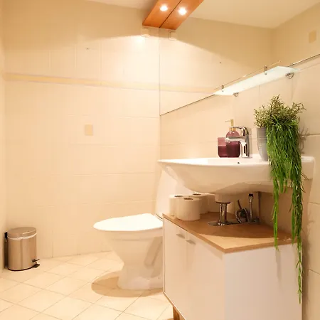 Roosikrantsi Apartament