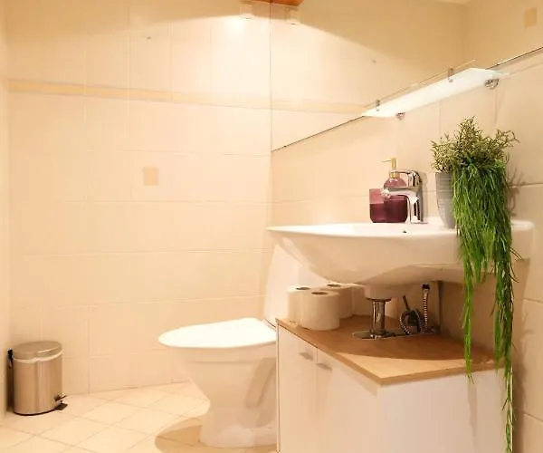 Roosikrantsi Apartament