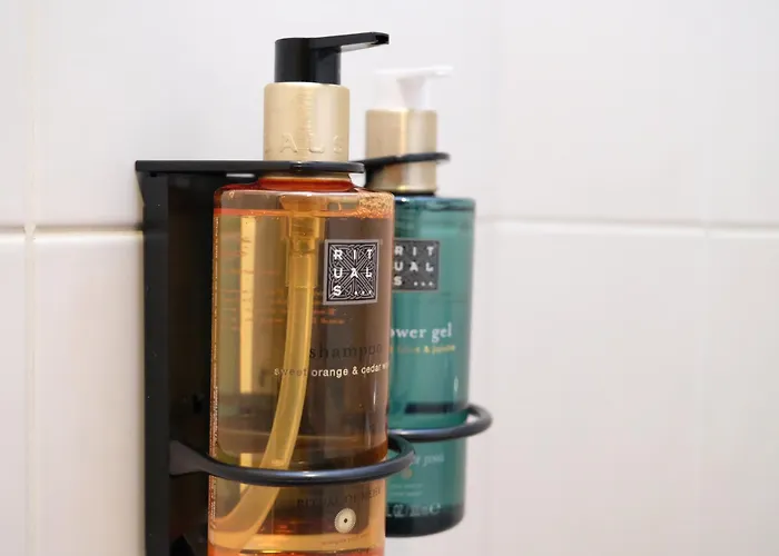 Roosikrantsi Apartament *