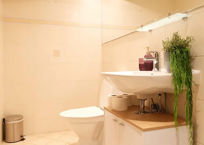 Roosikrantsi Apartament